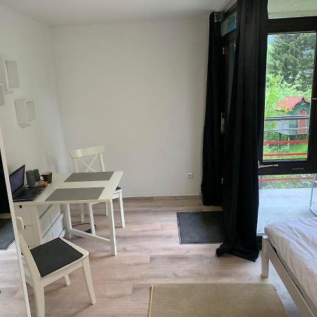 Kleines Einzimmer-Apartment 14 Бад-Вільдбад Екстер'єр фото
