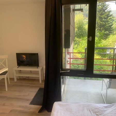 Kleines Einzimmer-Apartment 14 Бад-Вільдбад Екстер'єр фото